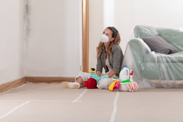Reliable Commercial Mold Remediation contractor in Cream Ridge, NJ by Car Mold Remediation